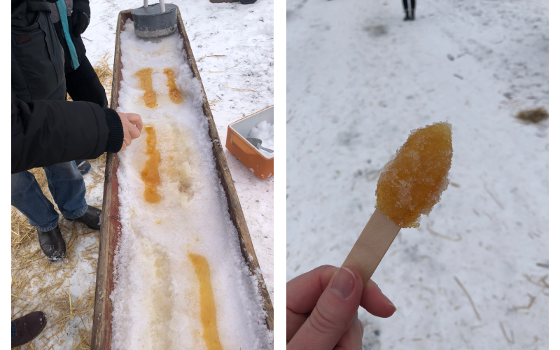On the left, a person is picking up maple taffy from the snow. On the right, a wooden stick with taffy wrapped around it.